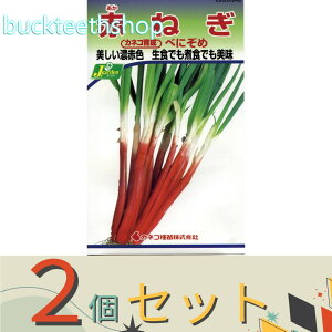 ��2�Z�b�g���J�l�R��c�@�^�l�@�Ԃ˂��@�ׂɂ���