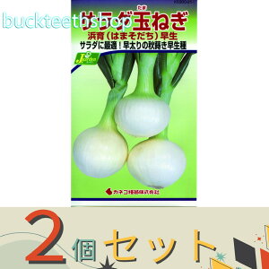 2ZbgJlRc@^l@T_ʂ˂@l@