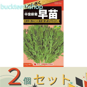 2ZbgJlRc@^l@񂬂@tVe@ciȂj