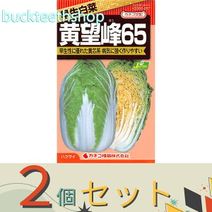 2ZbgJlRc@^l@؁@]65