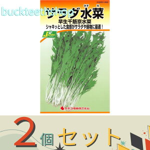 2ZbgJlRc@^l@T_؁@؋