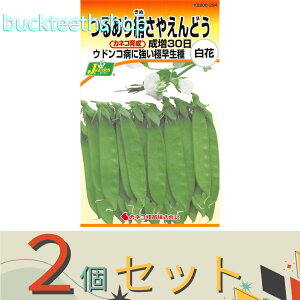 2ZbgJlRc@^l@邠茦₦ǂ@30@iԁj