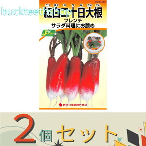 2ZbgJlRc@^l@g\卪@t`