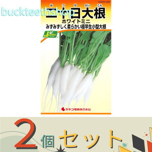 2ZbgJlRc@^l@\卪@zCg~j