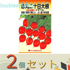 2ZbgJlRc@^l@Ԋۓ\卪@CUx