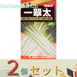 2ZbgJlRc@^l@lM@ꐉ