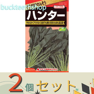 2ZbgJlRc@^l@T_ق񂻂@n^[