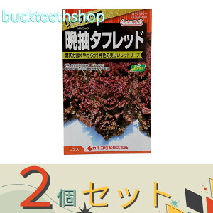 2ZbgJlRc@^l@^X@Ӓ^tbh