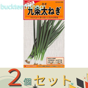 2ZbgJlRc@^l@𑾂˂