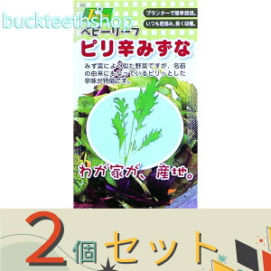 2ZbgJlRc@^l@xr[[tQsh݂