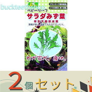 2ZbgJlRc@^l@xr[[tQT_݂؁@؋