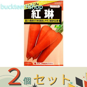 2ZbgJlRc@^l@ɂ񂶂@g