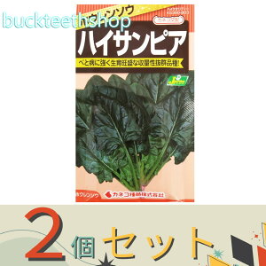 2ZbgJlRc@^l@ق񂻂@nCTsA