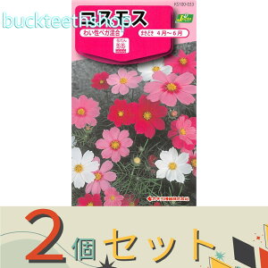 ��2�Z�b�g���J�l�R��c�@�^�l�@�R�X���X�@�킢���x�K����