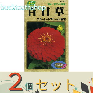 2ZbgJlRc@^l@S@XJ[bgt[Eԉ