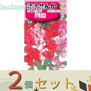 ��2�Z�b�g���J�l�R��c�@�^�l�@�ق����񂩁@���d�֍�E����