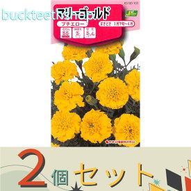 ※2個セット※カネコ種苗　タネ　マリーゴールド　プチエロー
