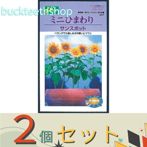 ��2�Z�b�g���J�l�R��c�@�^�l�@�~�j�Ђ܂��@�T���X�|�b�g