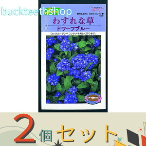 2ZbgJlRc@^l@킷ȑ@h[tu[