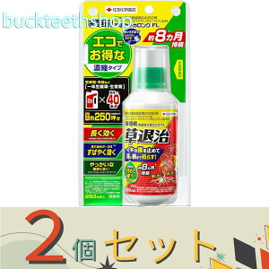 2ZbgZFw|ij@VjގKOFL250ml@y30z4975292604648