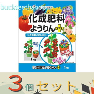 3ZbgAOAij@엿悤vX@1kg@ij