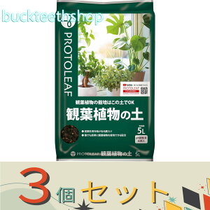 3Zbgvg[t@ϗtA̓y@5L@iP[tj