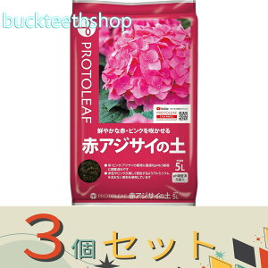 3Zbgvg[t@ԃAWTC̓y@5L