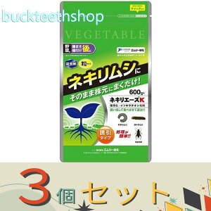 3ZbgGV[Ή@lLG[XK@600g@iGV[j