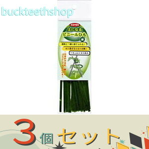 3ZbgtHXg@yɂȂrj[Ђ@΁@15cm×30P