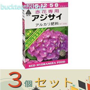 3ZbgijA~m[wi^LC@ԃAWTC@p엿@400g