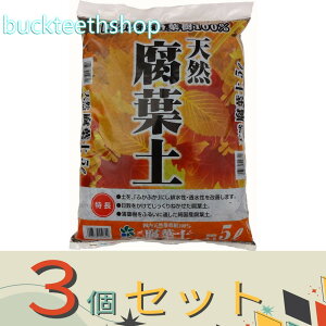 3ZbgRpȊwij@VRty@5L@y10z4907579550829