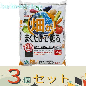 3ZbgRpȊwij@I܂S@14L@iRj