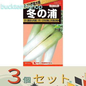 3ZbgJlRc@^l@~ǂ卪@~̉Y