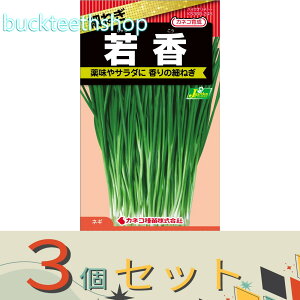 3ZbgJlRc@^l@ׂ˂@ፁij