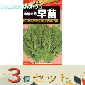 3ZbgJlRc@^l@񂬂@tVe@ciȂj