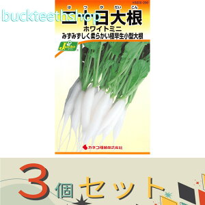3ZbgJlRc@^l@\卪@zCg~j