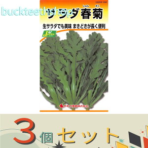 ��3�Z�b�g���J�l�R��c�@�^�l�@�T���_�t�e