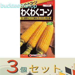 3ZbgJlRc@^l@XC[gR[@킭킭R[@i82j