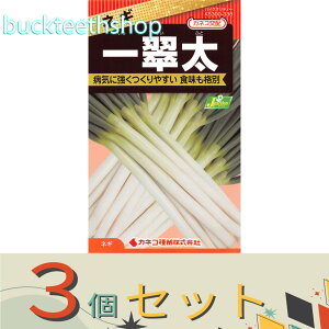 ��3�Z�b�g���J�l�R��c�@�^�l�@�l�M�@�ꐉ��