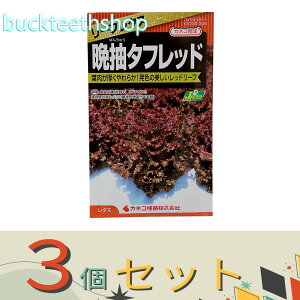 3ZbgJlRc@^l@^X@Ӓ^tbh