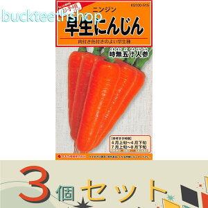 3ZbgJlRc@^l@ɂ񂶂@ܐlQ