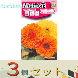 3ZbgJlRc@^l@񂹂ԁ@֍E