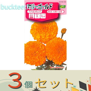 ��3�Z�b�g���J�l�R��c�@�^�l�@�}���[�S�[���h�@�A�t���J���I�����W