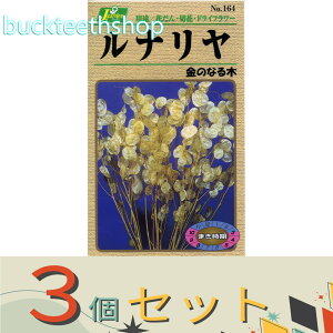 ��3�Z�b�g���J�l�R��c�@�^�l�@���i�����@���̂Ȃ��