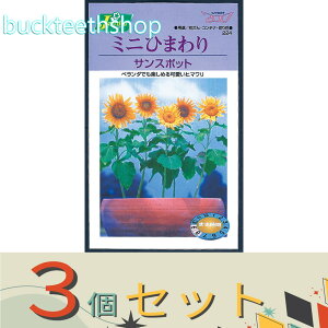 ��3�Z�b�g���J�l�R��c�@�^�l�@�~�j�Ђ܂��@�T���X�|�b�g