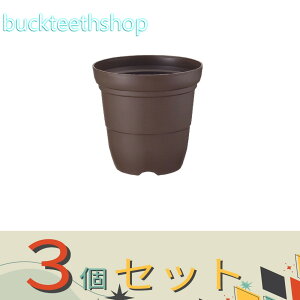 ��3�Z�b�g���i���j���b�`�F���c�Ɓ@�J���[�o���G�@�����@6���@�R�[�q�[BR�@�y60�z751640