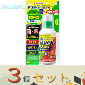 3ZbgZFw|ij@VjގKOFL250ml@y30z4975292604648