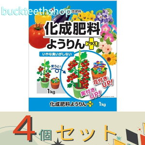 4ZbgAOAij@엿悤vX@1kg@ij