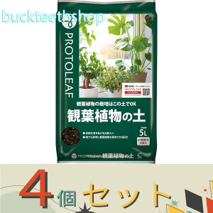 4Zbgvg[t@ϗtA̓y@5L@iP[tj