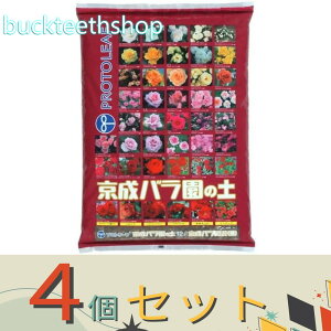 4Zbgvg[t@o̓y@12L@iP[tj